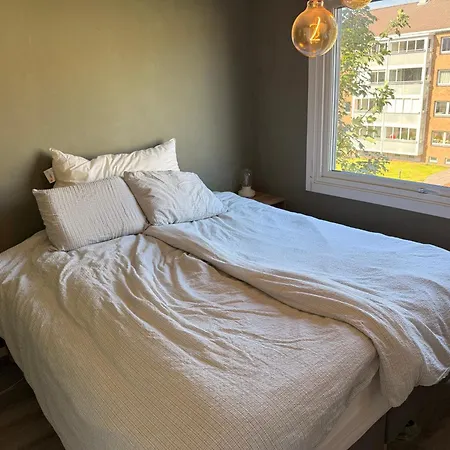 Apartamento - Ideal For Ons Visitors *